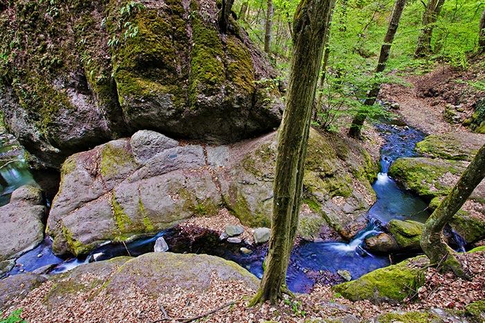 Visegrádi kör